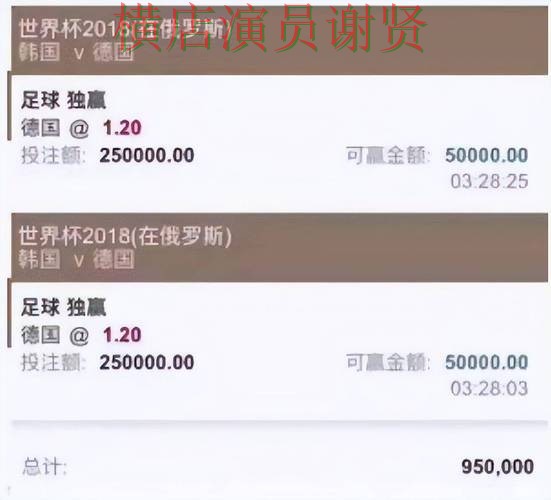 世界杯赛事中心来临，世界杯投注网站大全真实体验与平台选择解析